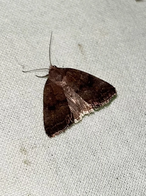 Athetis