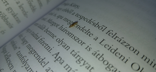 Psocoptera - Fürgetetvek